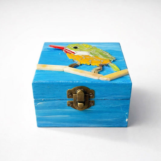 #89 Cofre San Pedrito